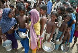 Compassion in Action: Feeding Hope, One Meal at a Time